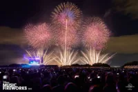 大阪でディズニーの名曲と花火の祭典、今年は「アナ雪」の特別演出も | Lmaga.jp